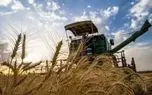 پیش‌بینی تولید 13.5 میلیون تن گندم در سال جاری